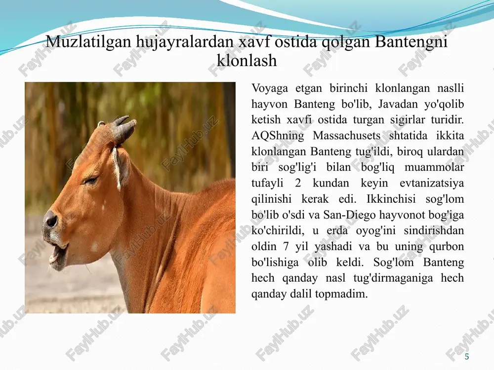 hayvonlardagen muhandisligi - Page 5