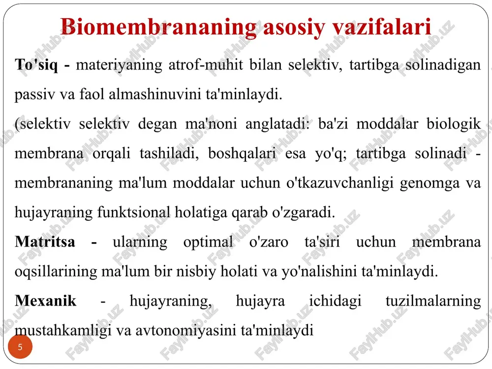 tidir. bu tizim, ayniqsa, bir suv bo'linmasidan ikkinchisiga ikki qatlam bo'ylab zaryad o'tkazishni osonlashtiradigan teshiklarni, kanallarni yoki tashuvchilarni o'rganish uchun foydalidir. elektrodlar suv kameralariga joylashtiriladi, ulardagi eritmalar osongina o'zgartirilishi mumkin va oqim va / yoki kuchlanish o'lchovlari juda aniq va juda sezgir. * sun'iy lipid va biologik membranalarning xossalarini solishtirish mulk biomembrana blm kesmaning elektron mikroskopik tasviri uch qatlamli tuzilish uch qatlamli tuzilish qalinligi, nm 6,0-10,0 2,5-8,0 qarshilik, om * sm2 102-105 106-109 elektr sig'imi, mf/sm2 0,5-1,3 0,2-1,0 sinishi indeksi 1,6 1,56-1,66 suv o'tkazuvchanligi, mkm/s 0,5-400 31,7 * liposomalar "liposomalar" atamasi suvli tarkibga ega bo'lgan har qanday lipidli ikki qatlamli tuzilmalarni anglatadi. ko'pgina fosfolipidlar suvda tarqalganda, o'z-o'zidan bir nechta ikki qavatli konsentrik qobiqlardan tashkil topgan vezikulyar tuzilmalarning geterogen aralashmasini hosil qiladi. bular xarakterlanadigan birinchi lipozomalar edi va hozir ko'p qatlamli vesikulalar (mlvs) deb ataladi. monolamellar pufakchalari katta qiziqish uyg'otadi; bitta ikki qavatdan hosil bo'lgan pufakchalar. ular diametri 200 dan 500 …