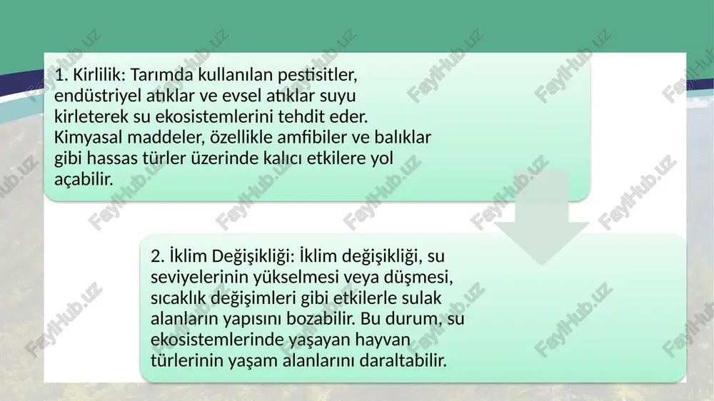 su ve sulak alan hayvan çeşitliliğinin korunması - Page 5