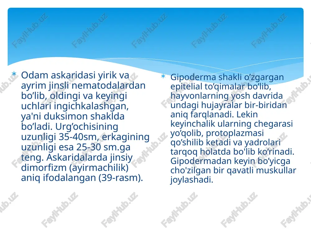 to‘garakchuvalchanglar (nematoda) tipi - Page 5