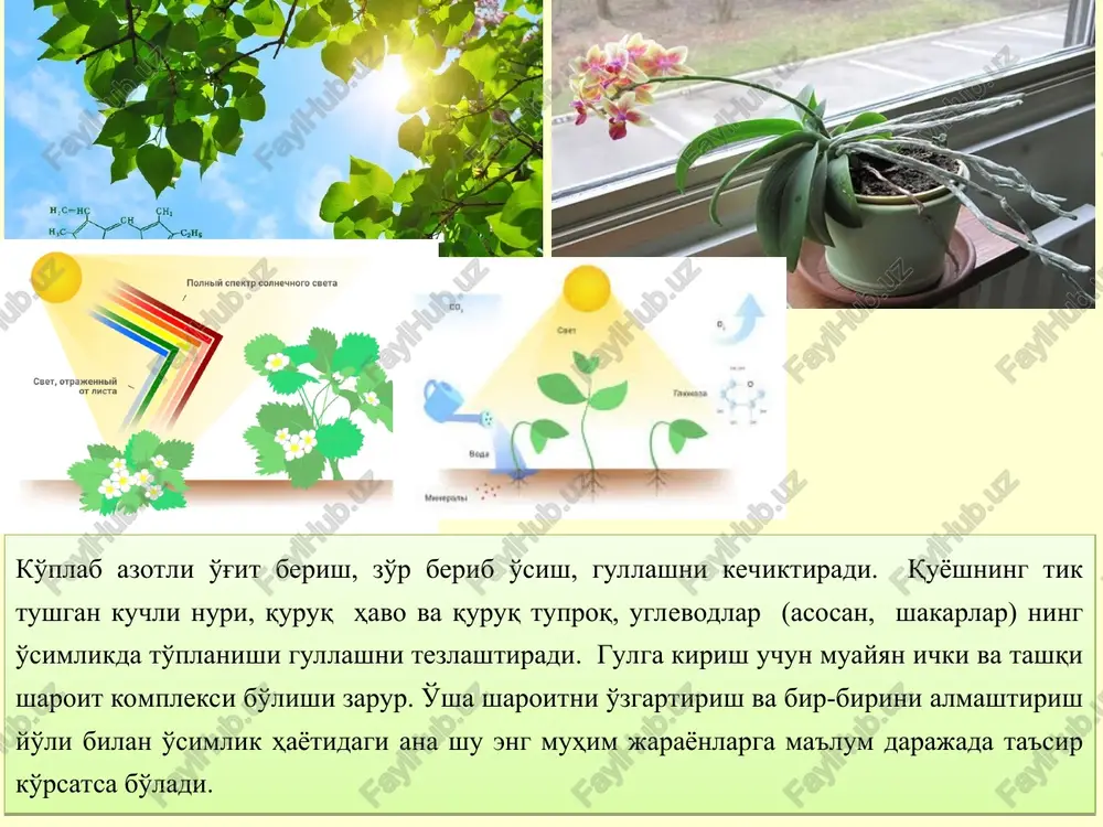 anish (boshqa o'simlik changi bilan changlanish) ko'pchilik o'simliklar uchun qulaydir, chunki bunday changlanishda har xil irsiy belgilari bor gametalar qo'shiladi – nasllar esa har xil bo'lib, turli yashash sharoitlariga yaxshiroq moslasha oladi. * gulli o'simliklarning chetdan changlanishga moslanish usullari bunday moslanishlarga: