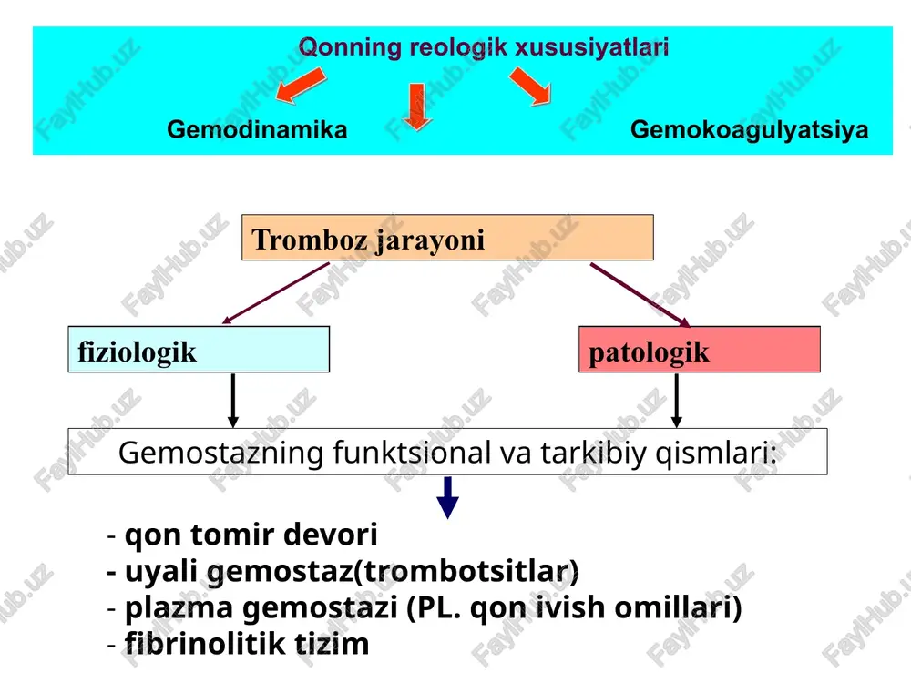 sitlarning intim ichida harakatlanishini amalga oshiradi, ularga makrofag xususiyatlarini beradi; * oksidlangan lnplar ishlab chiqarishni rag'batlantiradiil-1; *il-1 va boshqa yallig'lanish vositachilari (tnf boshqalar) tolali kapsulaning barqarorligini pasaytiradi va hujayralararo matritsani yo'q qiladi ab; * zarar ko'rgan e erf ishlab chiqarish qobiliyatini yo'qotadi; * chekish, tortishish ta'siri ostida shikastlanish zonasida: reaktsiyalar va boshqalar. spazm paydo bo'ladi. endoteliy faol organdir trombotsitopeniya qon ketishi trombotsitlar sonining 100x10 dan pastga tushishi natijasida yuzaga keladigan kasalliklar va sindromlar guruhlari 9 / l, qon ketish 50x10 dan past darajada paydo bo'lishi mumkin 9 / l, jiddiy qon ketish xavfi 30 x 10 dan past bo'lsa paydo bo'ladi 9 / l sabablari: ta'limni inhibe qilish, iste'molning ko'payishi yoki yo'q qilinishi trombotsitopeniya mexanizm: 1) suyak iligiga to'g'ridan-to'g'ri toksik ta'sir (shu jumladan dorilar) 2) tr ga to'g'ridan-to'g'ri toksik ta'sir (aggutinatsiya yoki lizis) 3) trombotsitlarga qarshi at hosil bo'lishi bilan sezuvchanlik trombotsitopeniya sabablari trombotsitlarga qarshi at hosil bo'lishi bilan immunitet …