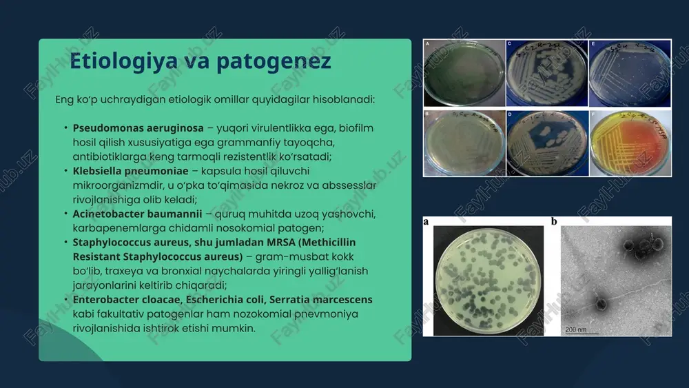 siya bo‘limida “infeksiya nazorati bo‘yicha komissiya” tashkil etilishi majburiy hisoblanadi. ushbu komissiya quyidagi vazifalarni bajaradi: • bemor xavfsizligi standartlariga rioya etilishini nazorat qilish, aseptika va antiseptika qoidalarining bajarilishini doimiy ravishda monitoring qilish; • nozokomial infeksiya holatlarini ro‘yxatga olish va tahlil qilish, aniqlangan hollarda epidemiologik tekshiruv o‘tkazish; • laborator tahlillar natijalariga asoslanib infeksiya manbalarini aniqlash va ularni bartaraf etish bo‘yicha amaliy choralarni ishlab chiqish; • tibbiyot xodimlarini muntazam o‘qitish va infeksiya nazoratiga oid bilimlarini oshirish bo‘yicha ichki treninglar tashkil etish; • xavfsizlik indikatorlari (qo‘l gigiyenasi bajarilish foizi, sterilizatsiya samaradorligi, antibiotiklar nazorati) bo‘yicha tahliliy hisobot tayyorlash. o‘zbekiston sharoitida ushbu tizimning joriy etilishi bemor xavfsizligi madaniyatini shakllantirish, nozokomial pnevmoniya holatlarini kamaytirish hamda tibbiyot xodimlari mas’uliyatini oshirishda muhim omil bo‘lmoqda. ayniqsa, respublika bo‘yicha faoliyat yuritayotgan infeksiya nazorati bo‘yicha tibbiy laboratoriyalar orqali mikrobiologik nazoratni kuchaytirish infeksion xavflarni erta aniqlash imkonini bermoqda. prezident sh.m. mirziyoyevning so‘zlari bilan aytganda: “inson qadri ustuvor bo‘lgan jamiyatda har bir tibbiyot …