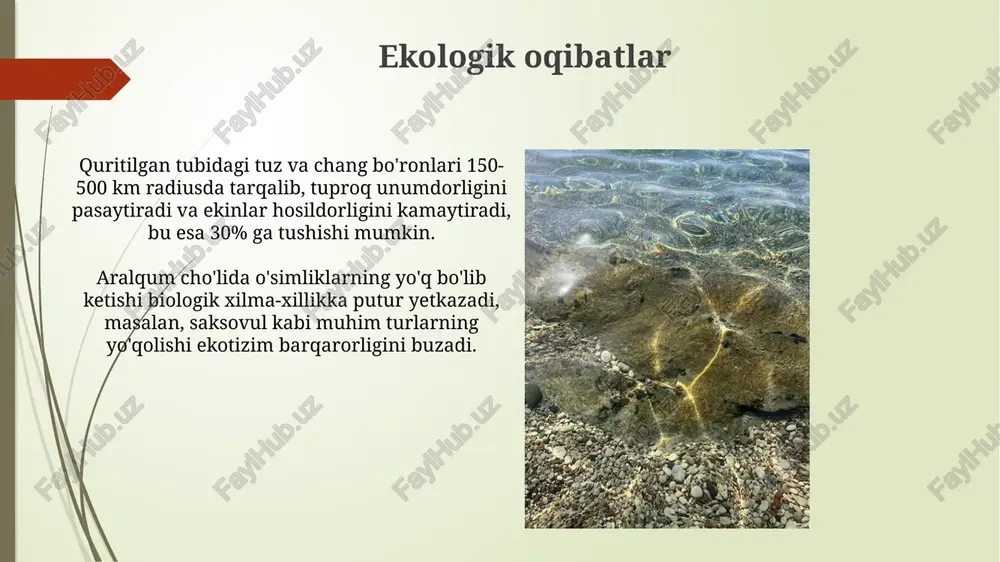 orol dengizining qurigan tubining hozirgi ahvoli - Page 5