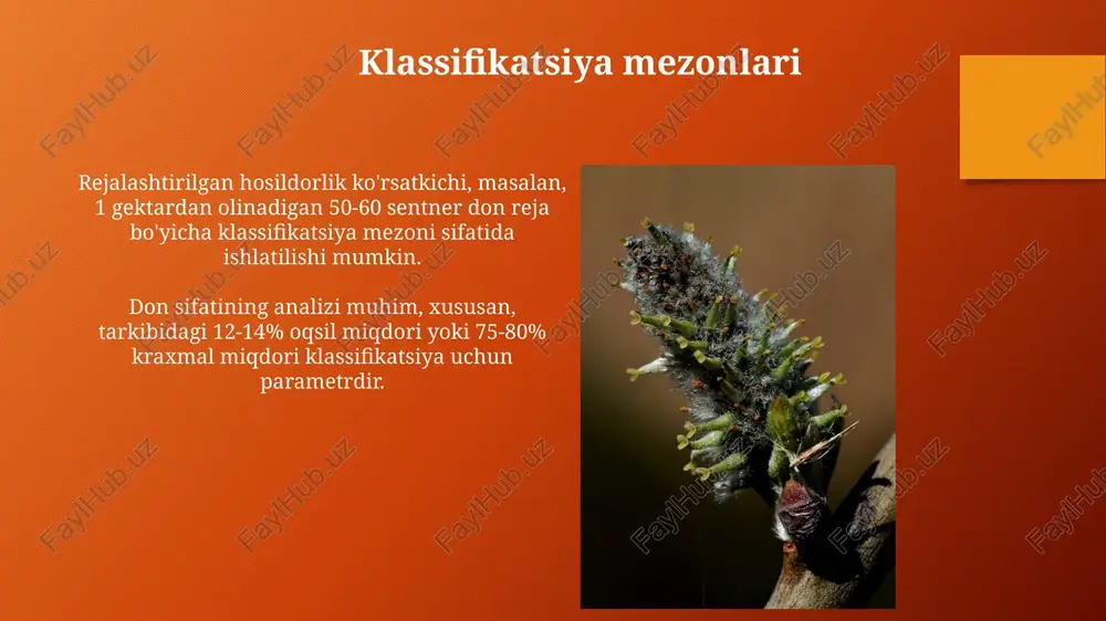 rebiyatsiya turlarning tasnifi - Page 5