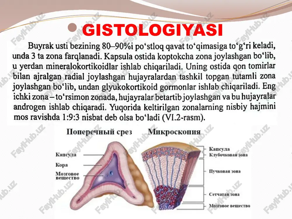 mashinuvi buzilishlari gipoglikemiya → holsizlik, hushdan ketish, asabiylashish. giponatremiya, giperkalemiya → mushak spazmlari, yurak aritmiyalari. metabolik asidoz. jinsiy gormonlar yetishmovchiligi ayollarda: jinsiy sochlarning to‘kilishi (qovuqosti, qo‘ltiq ostida), libido pasayishi, hayz buzilishi. erkaklarda androgenlar asosan moyaklardan ishlab chiqarilgani sababli belgilar kam seziladi. o‘tkir asorat — addison krizi agar kasallik vaqtida davolanmasa yoki stress, infeksiya, jarrohlikdan keyin to‘satdan og‘irlashsa: qattiq qusish, ich ketishi. keskin arterial bosim pasayishi, kollaps, shok. og‘ir gipoglikemiya, giponatremiya, giperkalemiya. hushdan ketish, koma. tashxislash 1. anamnez va klinik belgilar uzoq davom etuvchi charchoq, mushak zaifligi. vazn yo‘qotish, ishtaha pasayishi. gipotoniya (ayniqsa ortostatik). giperpigmentatsiya (terida va shilliq qavatlarda). qonda tuzga “ishtaha”. stressdan keyin ahvolning keskin yomonlashuvi. 2. fizik tekshiruv teri va shilliq qavatlarning qoramtir yoki bronza rangga kirishi. past qon bosimi. suvsizlanish belgilari. 3. laborator tekshiruvlar ✅ umumiy qon va biokimyo: na⁺ ↓ (giponatremiya) k⁺ ↑ (giperkalemiya) glyukoza ↓ (gipoglikemiya) qon ph kislotaga siljishi → metabolik asidoz ✅ gormonlar: kortizol …
