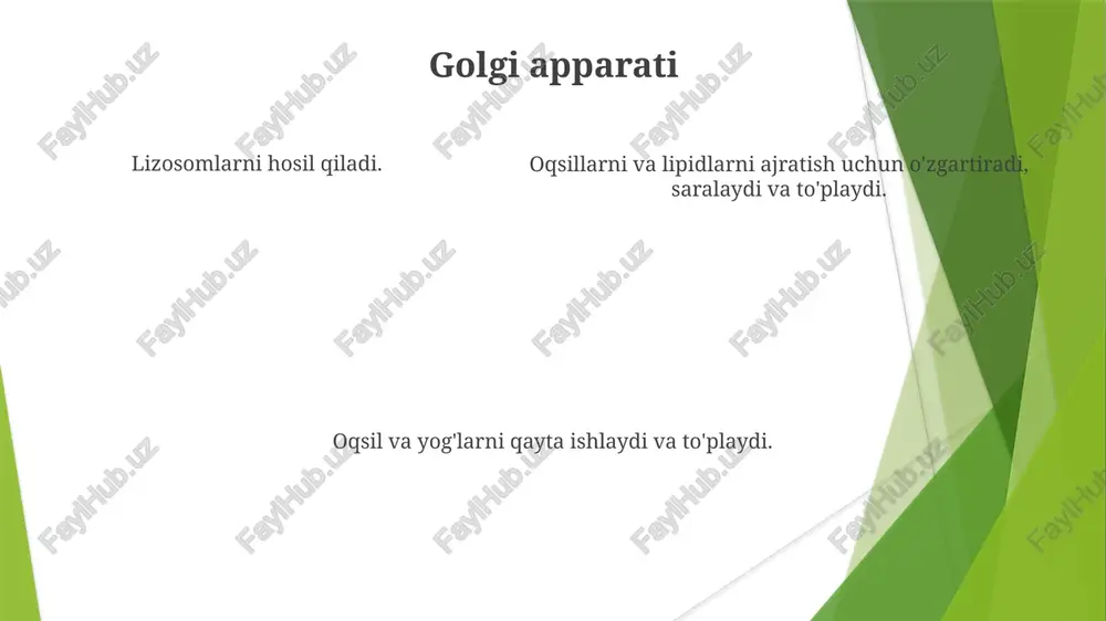 hujayra strukturalari va ularning funksiyasi - Page 5