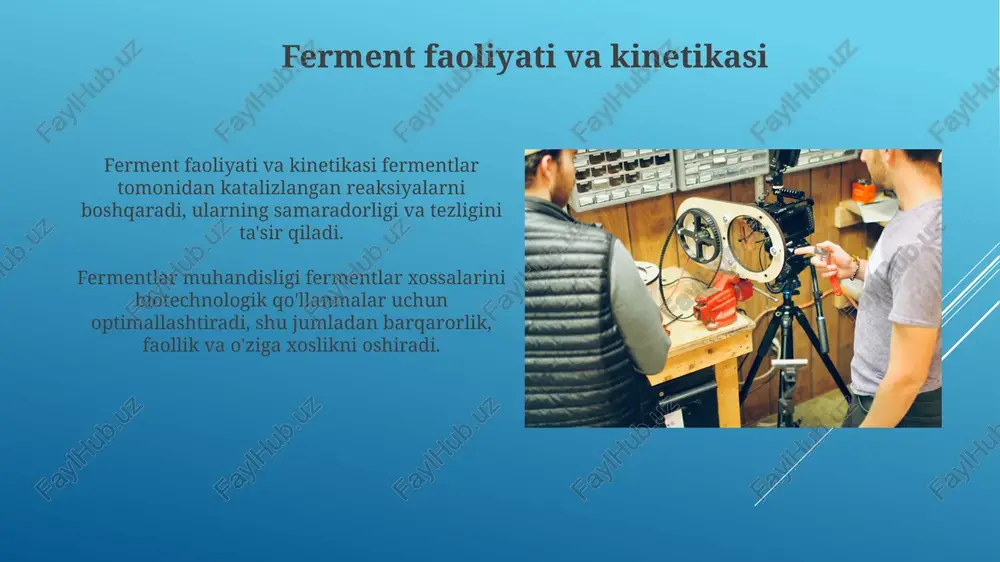 fermentlar immobilizatsiyalash - Page 5