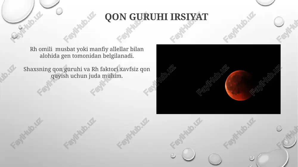 qon guruhlari va rezus omillarni aniqlash - Page 5