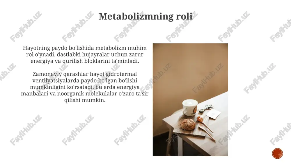 o'zini o'zi tashkil etish va murakkablik - Page 5