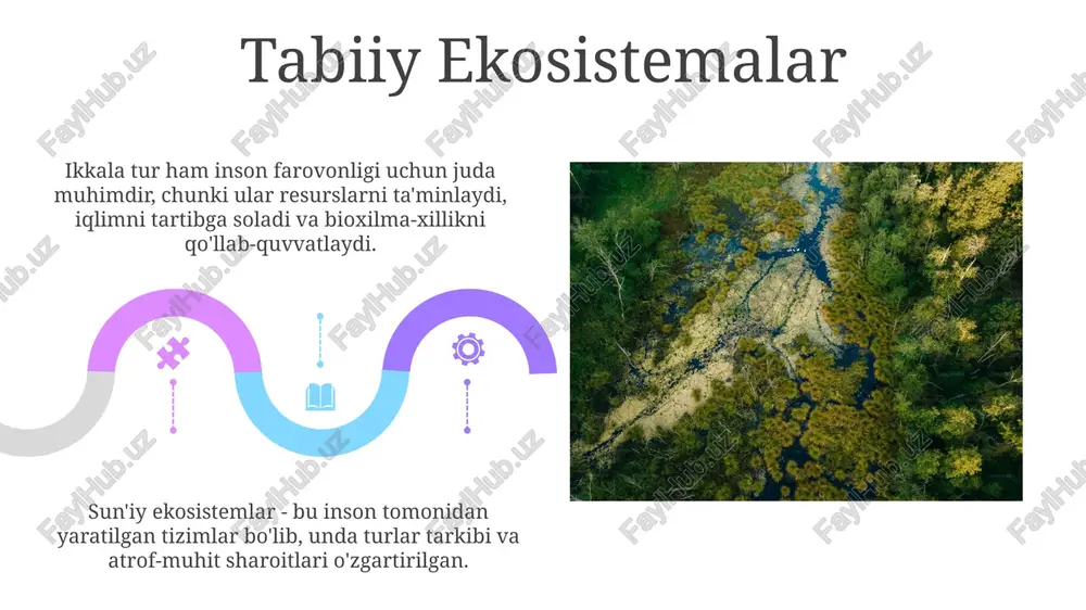 tabiiy va sun'iy (antropgen) ekosistemalar - Page 5