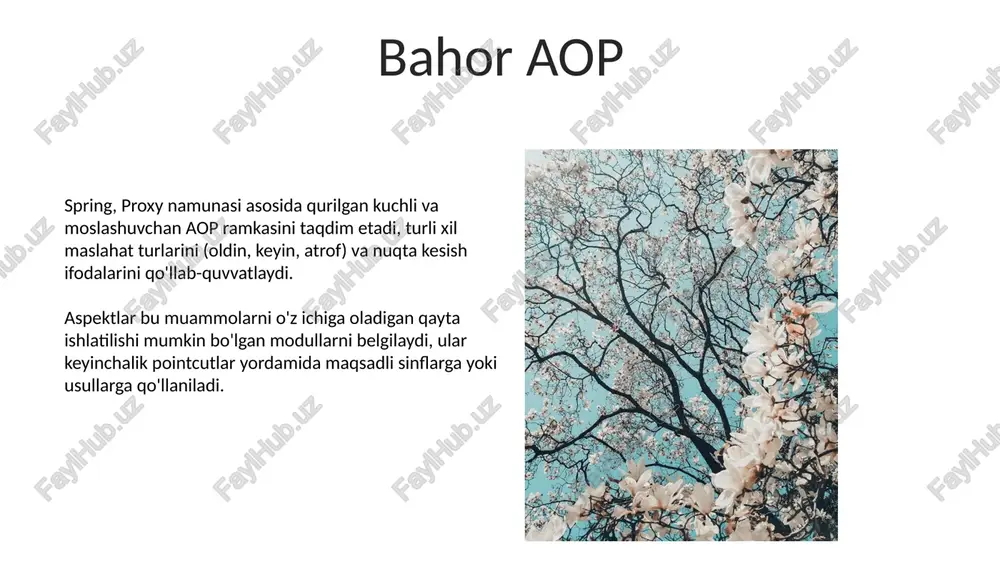 bahor mvc - Page 5