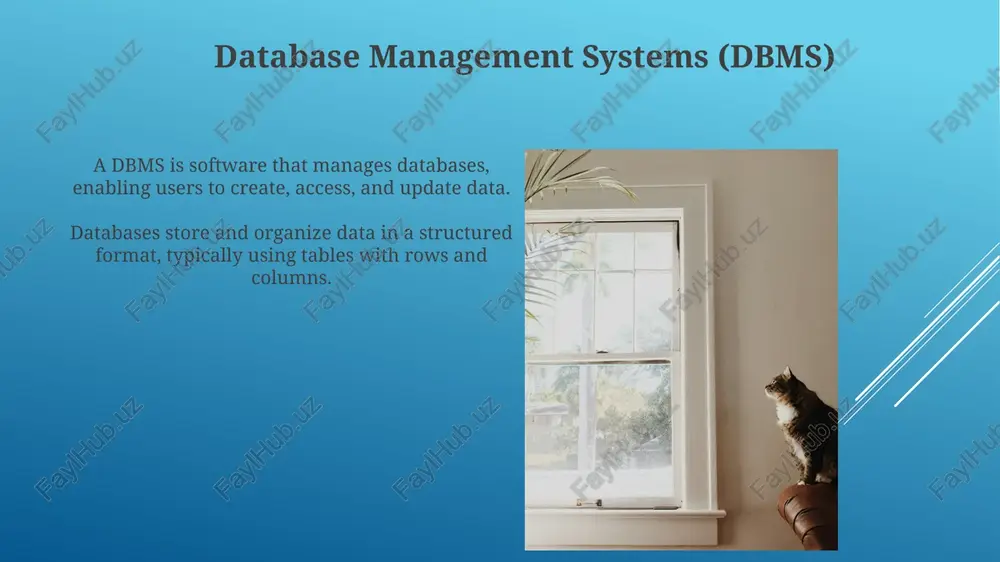 database basic - Page 5