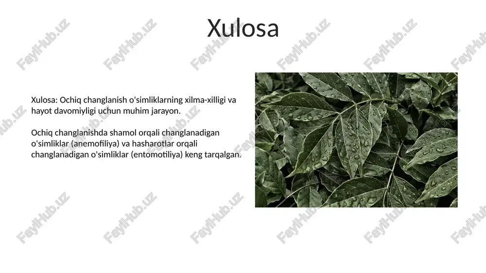 ochiq (xazmogam) holdagi changlanuvchi òsimlik turlari - Page 5