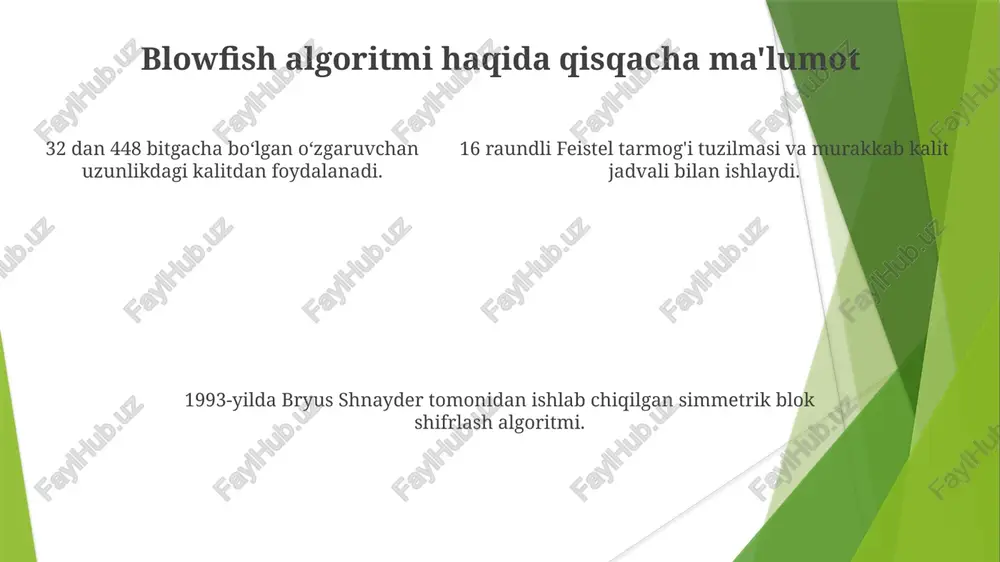 blowfish shifrlash algoritmi - Page 5