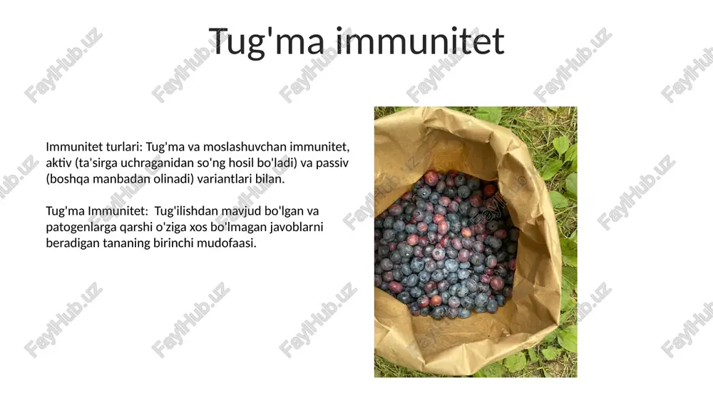 immunitet - Page 5