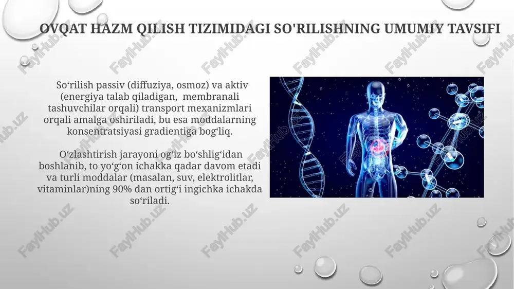 oshqozon ichak traktida sõrilishning biofizikaviy mexanizmi - Page 5