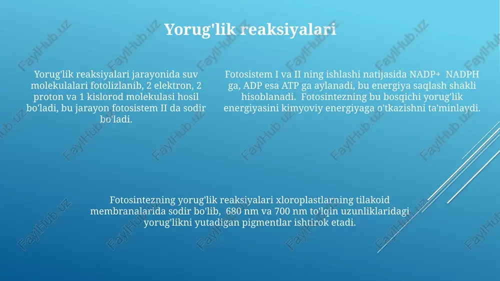 o'simliklarda energiya almashinuvi - Page 5