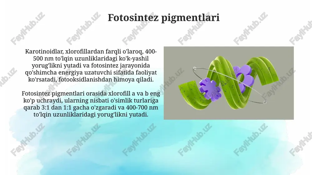 o'simlik hujayrasining kimyoviy tarkibi - Page 5