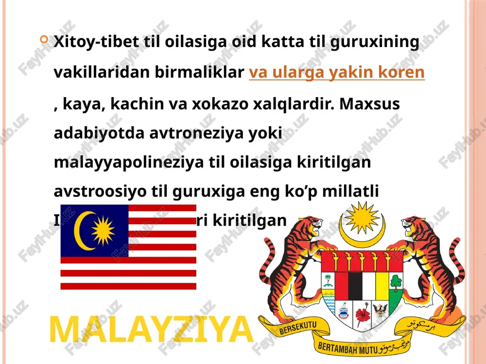janubiy osiyo xalqlari etnalogiyasi - Page 5
