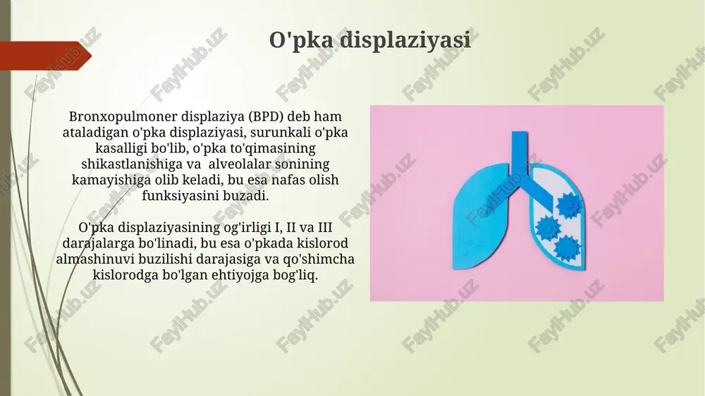 o'pkaning morfologik rivojlanishi va strukturaviy buzilishlar - Page 5