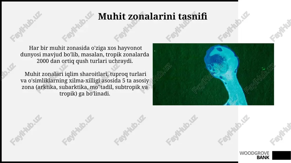 atrof-muhit zonalari turlari - Page 5