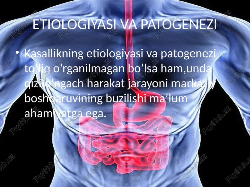 a vazn yo‘qotish bilan kechadi. xulosa disfagiya – bu turli etiologik omillar natijasida yuzaga keluvchi muhim klinik simptom bo‘lib, uning sabablari nevrologik, mushak, mexanik yoki funksional bo‘lishi mumkin. axalaziya, o‘smalar va reflyuks kasalligi disfagiyaning eng ko‘p uchraydigan sabablari hisoblanadi. to‘g‘ri tashxis qo‘yish va etiologiyani aniqlash bemorni samarali davolashda hal qiluvchi ahamiyatga ega. e’tiboringiz uchun rahmat image2.jpeg image3.gif image4.jpeg image1.png /docprops/thumbnail.jpeg