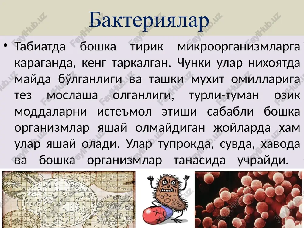 borligi koli-titr yoki koli-indeks bilan aniklanadi. ichak tayokchasi topilgan suvning eng kam mikdori suvning koli-titri deyiladi. 1 l suvda topilgan ichak tayokchasining mikdori koli - indeks deyiladi. agarda mikroblar muallak zarrachalarda, loykada va boshka birikmalarda bo'lsa, ularga xlor yaxshi ta'sir etmaydi. ayrim mikroblar tirik koladi va bunday suvni odam va xayvonlar ichsa zararlanishi mumkin. 0,1 mg aktiv xlor 1 litr suvdagi 6000 ichak tayokchasini 4 soat-u 10 minutda o'ldiradi. lekin suv azonlansa xlorlab tozalanganga karaganda, ancha yaxshi natija beradi. 0,1 mg azon 1 litr suvdagi 6000 ichak tayokchasini 1 sekundda o'ldiradi. suv tarkibini kox usulida san-bak tekshiriladi. 3.havo mikroflorasi xavoda mikroorganizmlarning sonining ko'payishi havoning chang va boshqa iflos chiqindilar, tomchilari bilan ifloslanish darajasiga bog'liq. havo mikroflorasidagi mikroblar turining xilma - xilligi asosan ochiq joylardagi havoda chang orqali ifloslansa, yopiq joylardagi havo odam va xayvon organizmi mikroflarasidagi mikroblar bilan ifloslanadi. ochiq havo basseynida asosan pigment xosil kiluvchi bakteriyalar, bakteriya sporalari, zamburug'larni …
