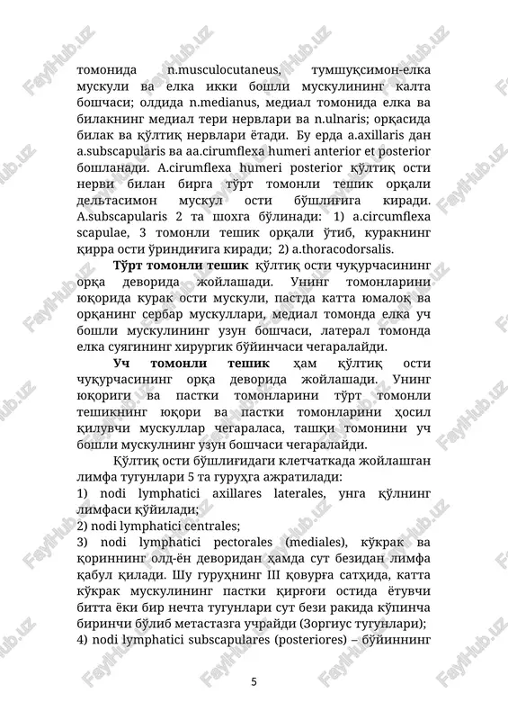 i centrales; 3) nodi lymphatici pectorales (mediales), ko'krak va qorinning old-yon devoridan hamda sut bezidan limfa qabul qiladi. shu guruhning iii qovurg'a sathida, katta ko'krak muskulining pastki qirg'og'i ostida yotuvchi bitta yoki bir nechta tugunlari sut bezi rakida ko'pincha birinchi bo'lib metastazga uchraydi (zorgius tugunlari); 4) nodi lymphatici subscapulares (posteriores) – bo'yinning orqa yuzasi va orqaning yuqorigi qismidan limfa qabul qiladi; 5) nodi lymphatici apicales (infraclaviculares) – sut bezining yuqorigi qismidan hamda o'zidan pastda joylashuvchi tugunlardan limfa qabul qiladi. qo'ltiq osti limfa tugunlarining tomirlari truncus subclavius ga qo'yiladi. deltasimon soha (regio deltoidea). chegaralari deltasimon muskulning shakliga mos keladi. qavatma-qavat tuzilishi. 1. terisi qalin. 2. teri osti kletchatkasi. 3. xususiy fastsiya yuza va chuqur varaqlarga bo'linib, deltasimon muskulga g'ilof hosil qiladi. xususiy fastsiya sohaning chegaralari bo'ylab yuqorida – akromial o'siq, kurak qirrasi hamda o'mrovga birikadi; oldingi va pastki chegaralarida esa qo'shni sohalarning fastsiyalariga davom etadi. 4. deltasimon muskul. 5. deltasimon muskulning …