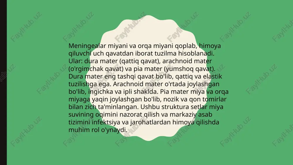 boshmiyavaorqamiyaninganatomiyasi - Page 5