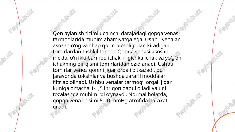 qopqa venasi, uning hosil bolishi - Page 5