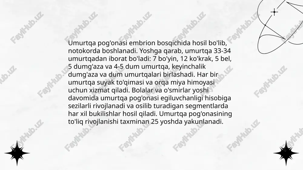 umurtqa pog'onasi - Page 5