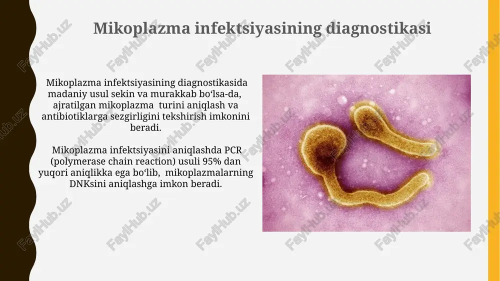 xlamidiya va mikoplazma infektsiyalari - Page 5
