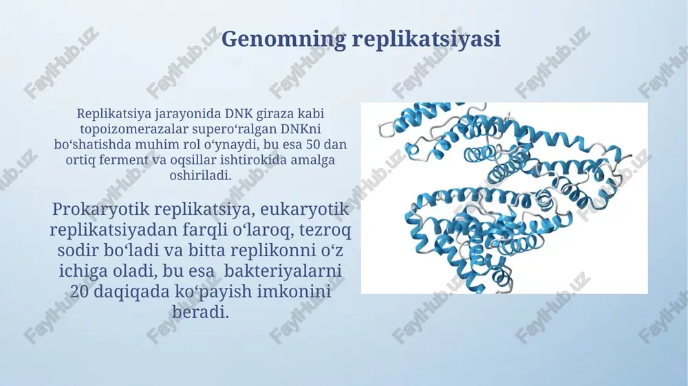 prokariot genomi strukturasi - Page 5