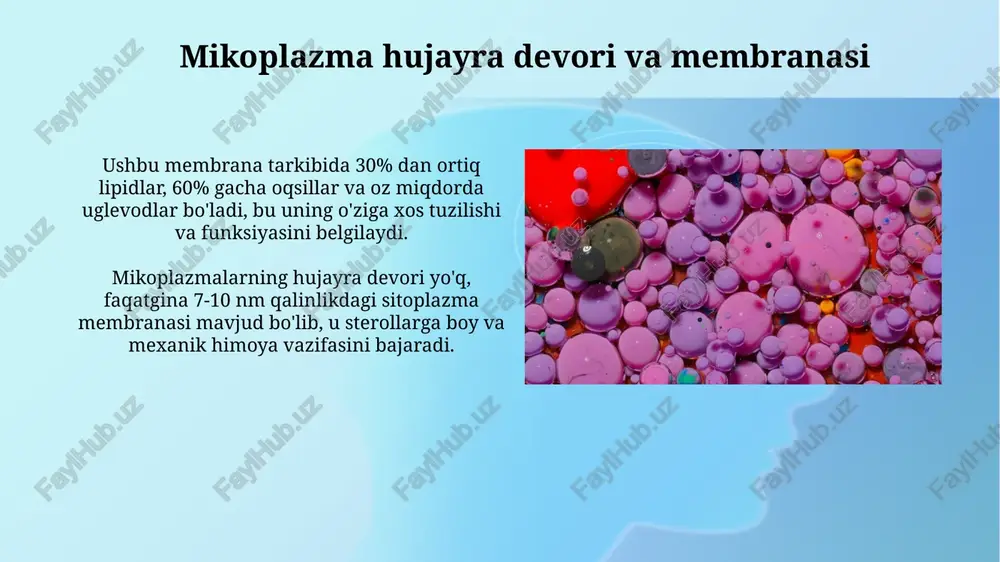 mikoplazmalar materiali, tarkibi va tibbiyotdagi ahamiyati - Page 5