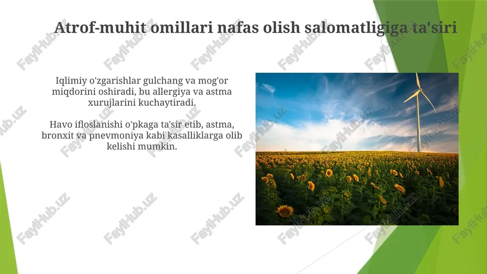 nafaas olish mexanizmlari - Page 5