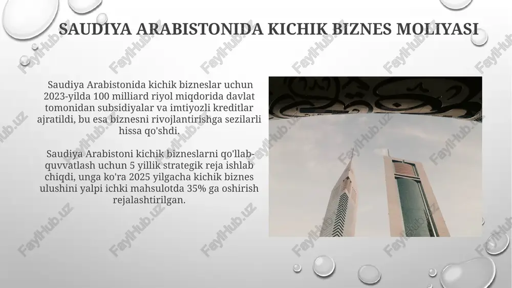 saudiya arabistoni kichik biznes moliyasi - Page 5