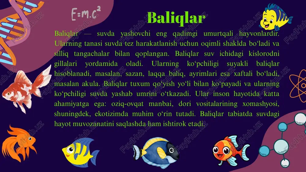 ari yo'qib ketgan. amfibiya va reptiliyalar birgalikda gerpetologiya faniga kiradi. umurtqali hayvonlar xilma-xilligi tabiatda hayotning boyligini namoyish etadi. baliqlar suv muhitiga, amfibiyalar suv va quruqlik muhitiga, reptiliyalar esa quruqlik hayotiga mukammal moslashgan. ularning har biri ekotizimda muhim rol o‘ynaydi — oziq zanjirini tashkil etadi, hasharotlar sonini nazorat qiladi va tabiat muvozanatini saqlashga yordam beradi. shu sababli, umurtqali hayvonlarni asrash, ularning yashash joylarini muhofaza qilish — bizning burchimizdir. chunki ularning har biri yer sayyorasidagi hayot zanjirining ajralmas bo‘lagidir. xulosa thank you image9.svg image10.png image11.svg image12.png image13.svg image14.png image15.svg image16.png image17.png image1.png image2.svg image3.png image4.svg image5.png image6.svg image7.png image8.png image18.png image19.svg image20.png image21.png image22.png image23.png image24.svg image25.png image26.png image27.png image28.png image29.svg image30.png image31.svg image32.png image33.png image34.png image35.png image36.svg image37.png image38.png image39.png image40.svg image41.png image42.svg image43.png image44.png image45.svg image46.png image47.png image48.png image49.png image50.png image51.png image52.svg image53.png image54.png image55.png image56.svg image57.png image58.png image59.png image60.png image61.svg image62.png image63.svg image64.png image65.svg image66.png image67.svg image68.png image69.svg image70.png …