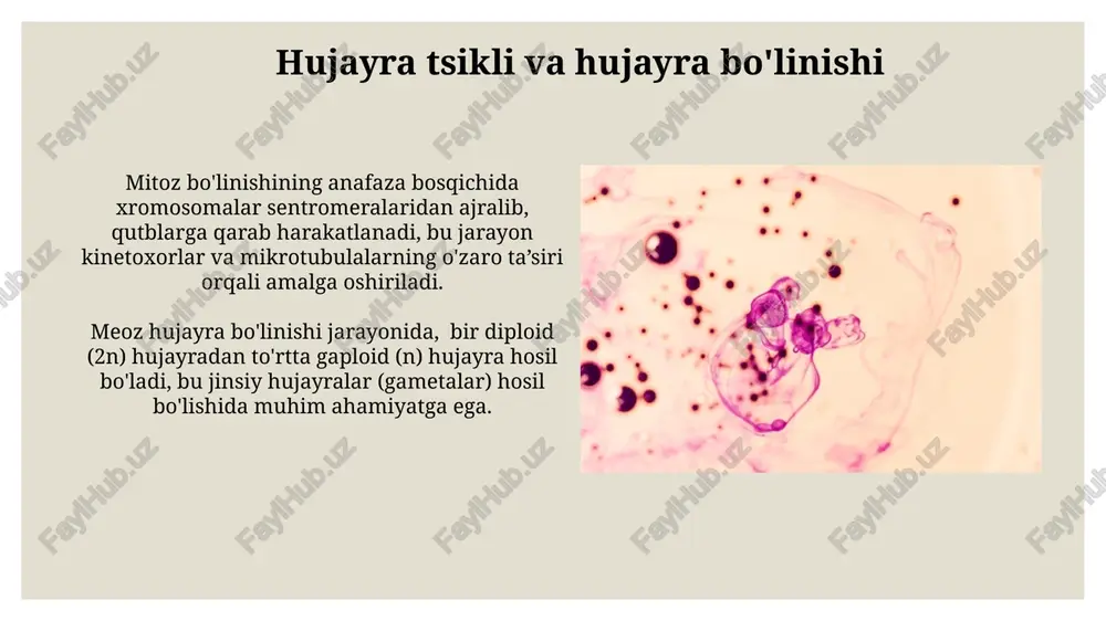 sitologiya va hujayra haqidagi fan - Page 5