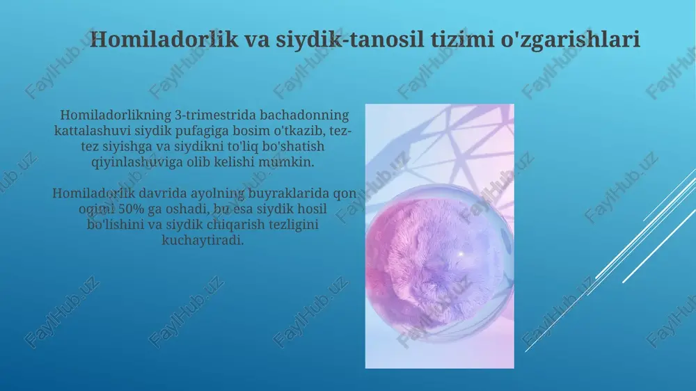 siydik va tanosil tizimlarning rivojlanishi - Page 5