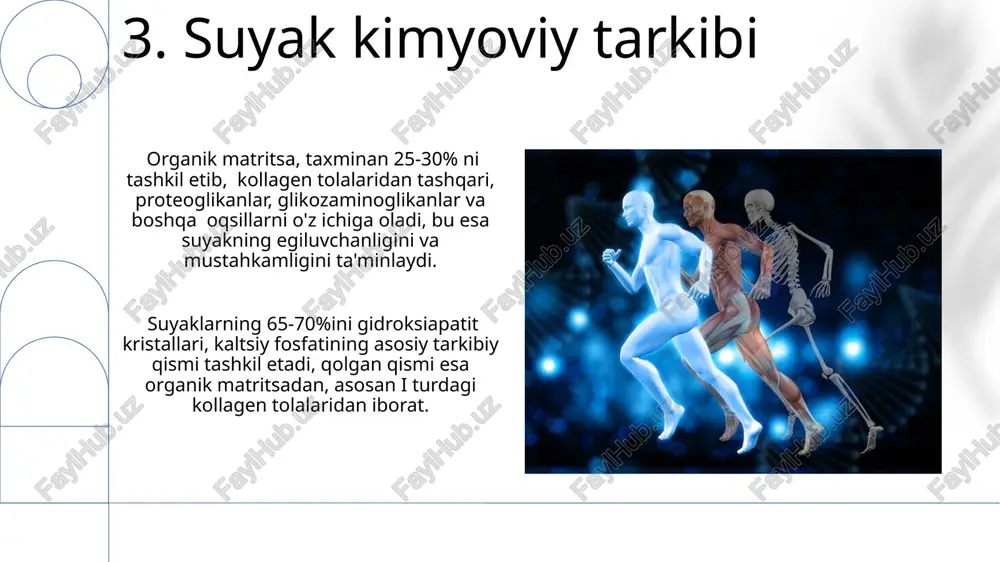 suyaklarning tuzilishi rivojlanishi va kimyoviy tarkibi - Page 5