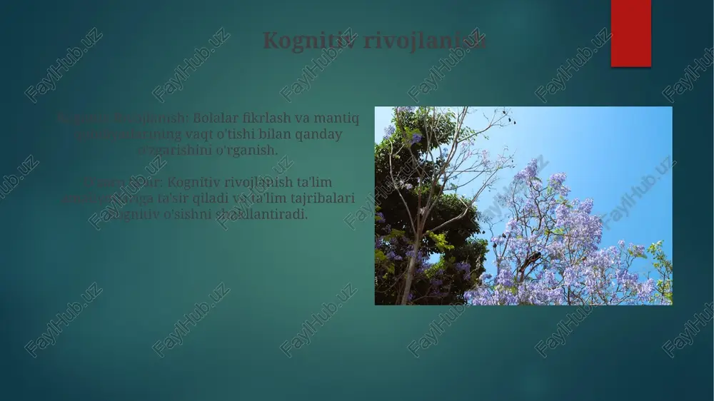 ta'lim psixologiyasi - Page 5