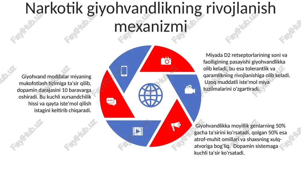 zimiga jiddiy zarar yetkazishi mumkin, yurak urishining tezlashishi, qon bosimining oshishi va hatto yurak xurujiga olib kelishi mumkin. kokainning markaziy asab tizimiga ta'siri juda kuchli bo'lib, dopaminning miqdori 10 baravar ko'payishiga olib keladi, bu esa kuchli euforiya va energiya oqimini keltirib chiqaradi. kannabinoidlar: foyda va zararlari contents title kannabinoidlarning ba'zi turlari, masalan, cbd, yallig'lanishga qarshi ta'sir ko'rsatadi va xronik og'riqlarni 30% ga kamaytirishi mumkin, ammo yuqori dozalar uyquchanlik va bosh aylanishiga olib kelishi mumkin. thc ning psixoaktiv ta'siri miyadagi cb1 retseptorlari bilan bog'liq bo'lib, psixoz va xavotir holatlarini kuchaytirishi mumkin, ayniqsa, genetik moyilligi bo'lgan shaxslarda. kannabisning terapevtik qo'llanilishi, masalan, ko'ngil aynishi va qusishni kamaytirishda, klinik tadqiqotlar bilan tasdiqlangan bo'lsa-da, dozani aniqlash va yon ta'sirlarni nazorat qilish muhimdir. opioidlar: turlari va ta'siri opiatlar miyaning mukoza qatlamlariga ta'sir qilib, dopaminning 50% gacha ko'payishiga olib keladi, bu esa kuchli zavqlanish hissi va giyohvandlikka olib kelishi mumkin. opiatlarning haddan tashqari dozasi nafas olishning to'xtashi …