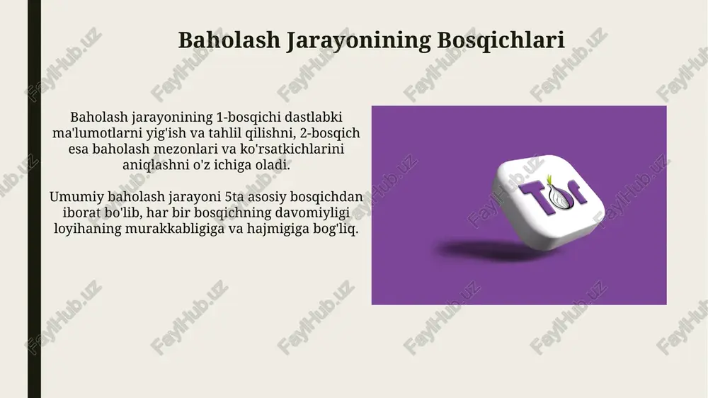 talis xalqaro baholash dasturi mazmun va mohiyati - Page 5