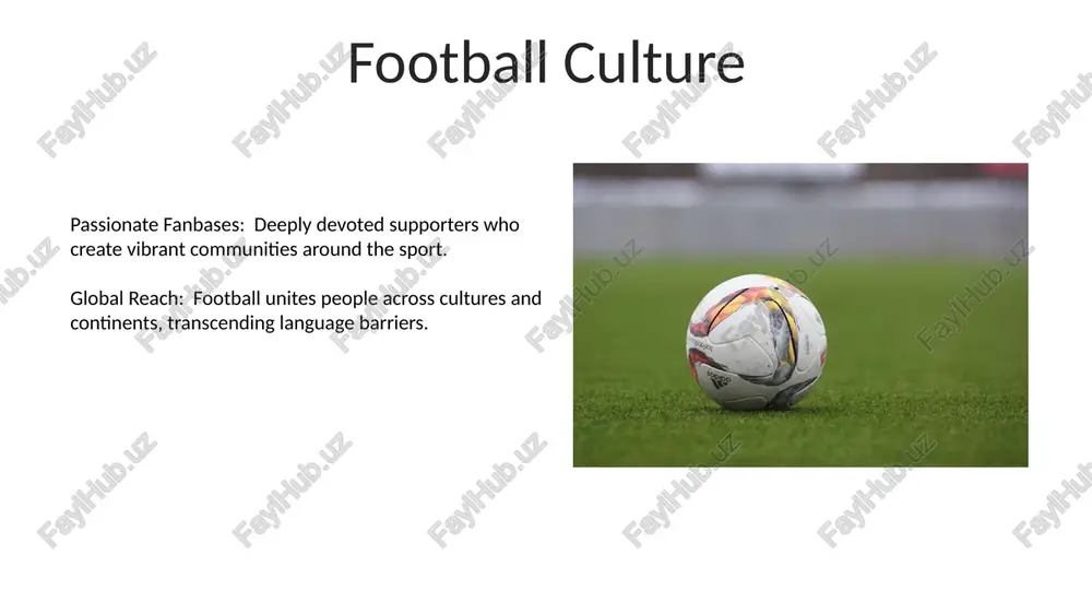 football culture - Page 5