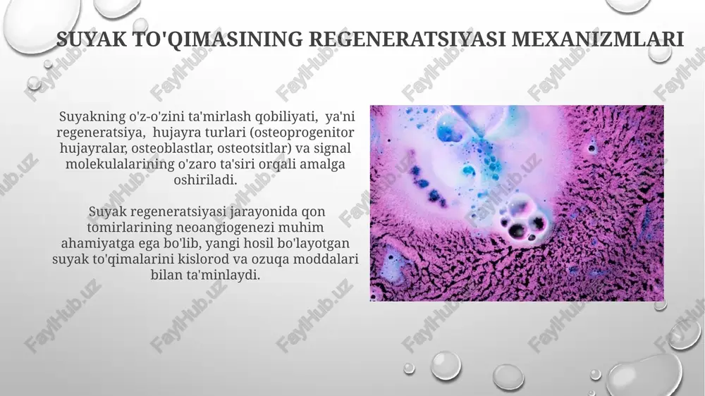 suyak to'qimasining transplantatsiyasi - Page 5