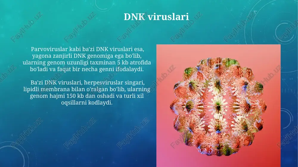 viruslar morfologiyasi va strukturasi - Page 5