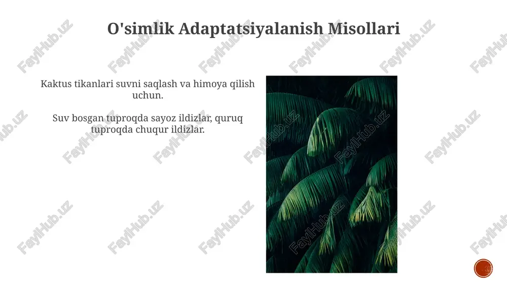 suv va tuproq omillariga moslashish - Page 5