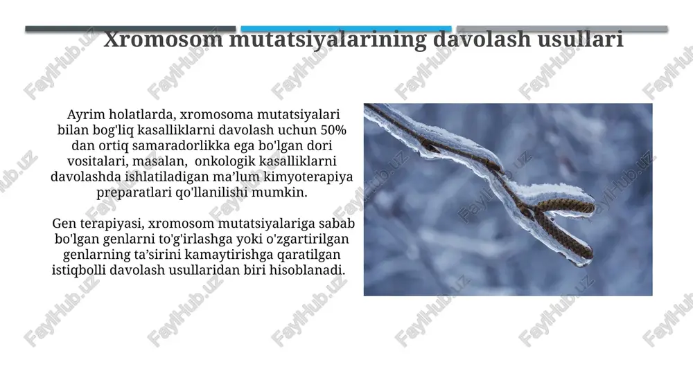 xromosoma mutatsiyalariga doir masala va mashqlar - Page 5