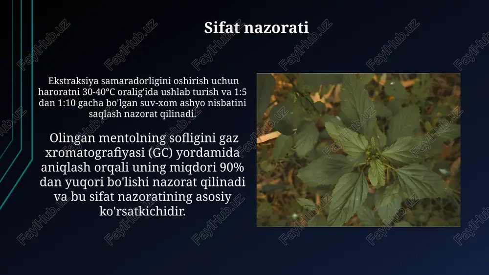 mentol ekstraksiyasi - Page 5